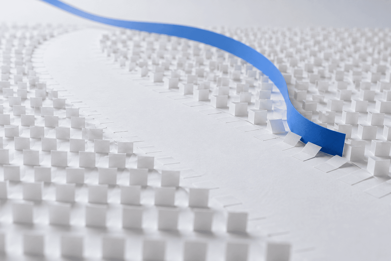 Un champ de petites languettes de papier blanc dressées, qu’un ruban bleu cobalt couche sur son passage en laissant un chemin lisse et dégagé.